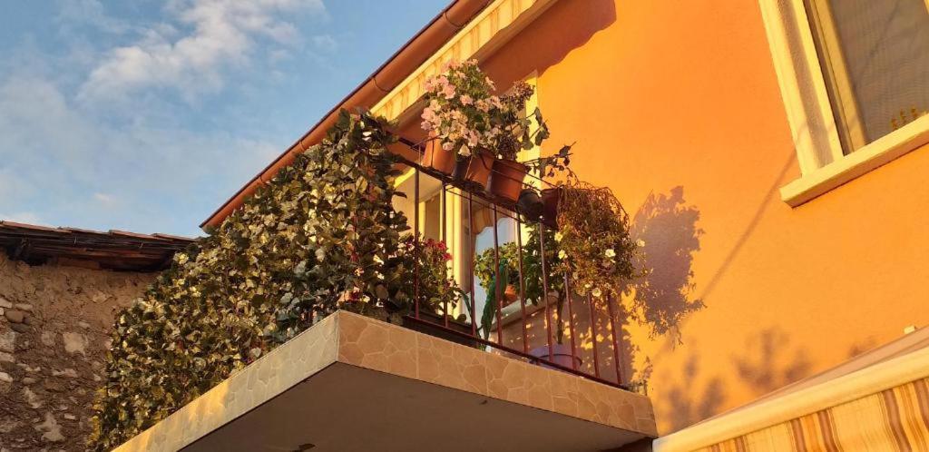 Old Town Rooms Podgorica Zewnętrze zdjęcie
